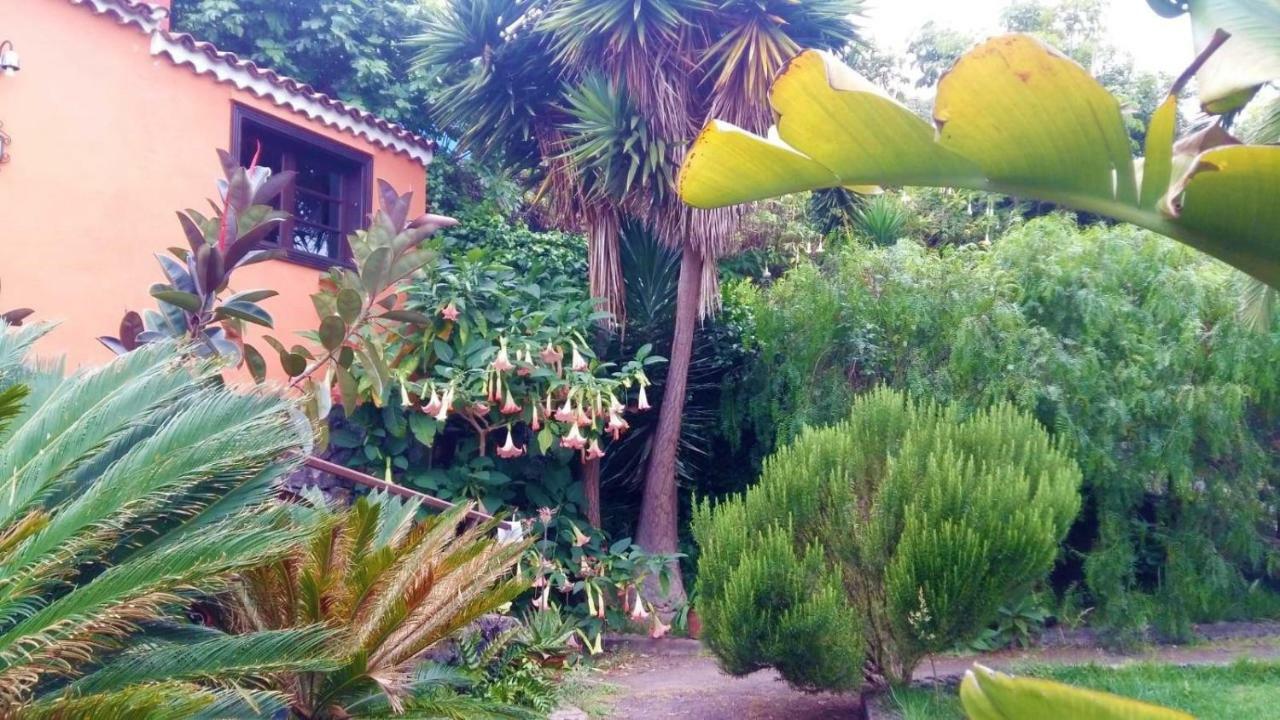 Casa Ida Casa de hóspedes Garachico  Exterior foto